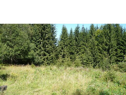 Foto 28